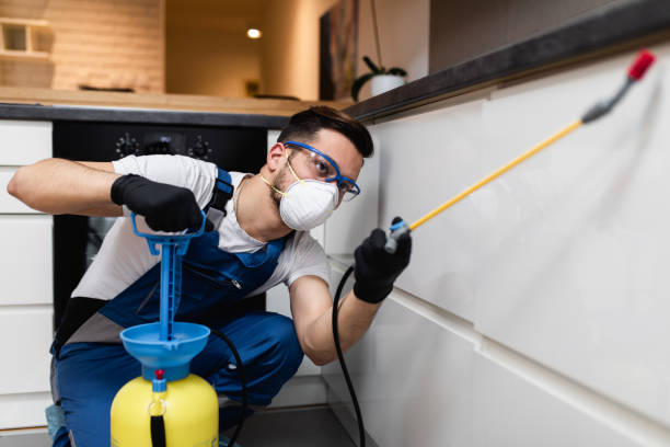 Best Wildlife Control Services  in Smithville, OH