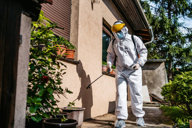 Best Best Pest Control Companies  in Smithville, OH