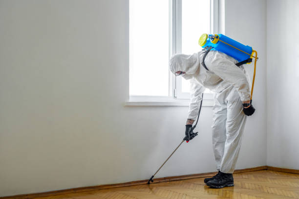 Best Mosquito Control Services  in Smithville, OH