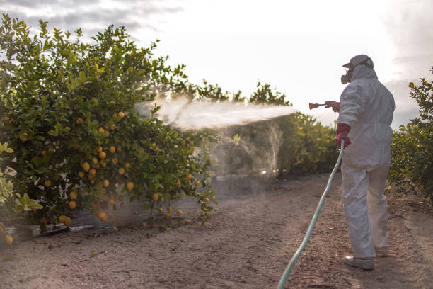 Flea Control Services in Smithville, OH