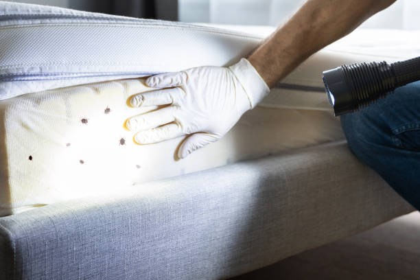Pest Control Cost in Smithville, OH