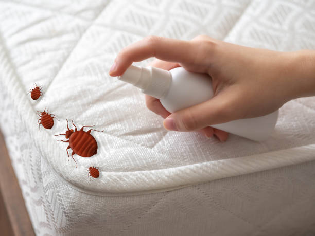 Best Wasp Removal Services  in Smithville, OH