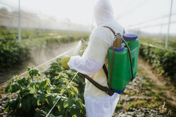Best Pest Control Near Me in Smithville, OH